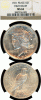 1921 Peace $ NGC MS-62
